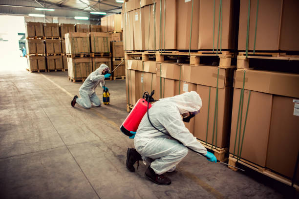 Best Residential Pest Control  in Williamson, AZ