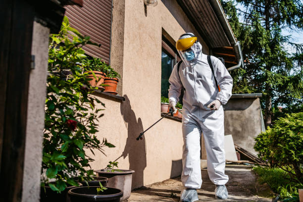 Best Local Pest Control Services  in Williamson, AZ